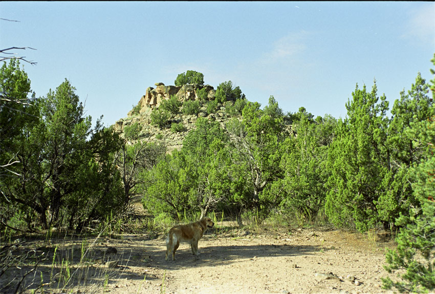 Morning Hike