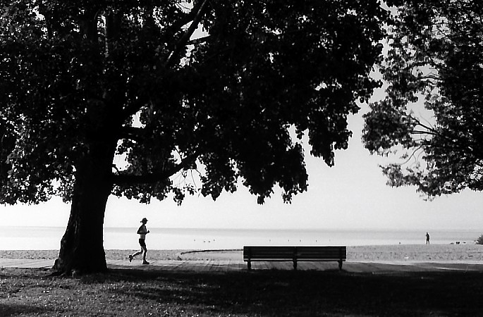 Morning Jog
