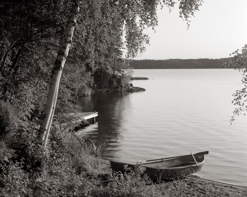Morning, Lake Shore