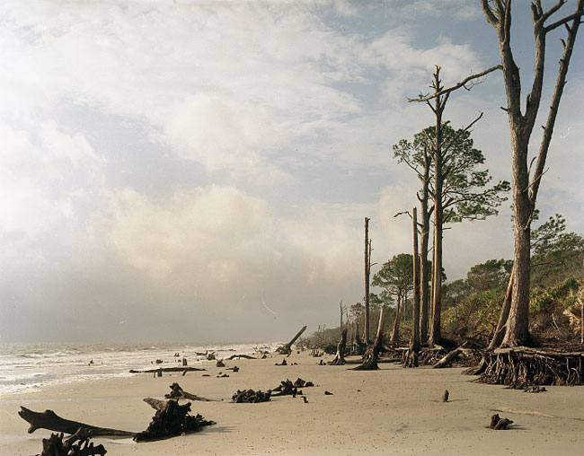 Morning light on Jekyll