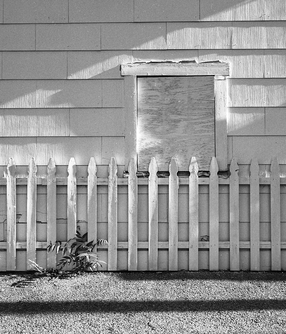 Morning Light