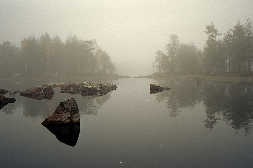 Morning mist #5