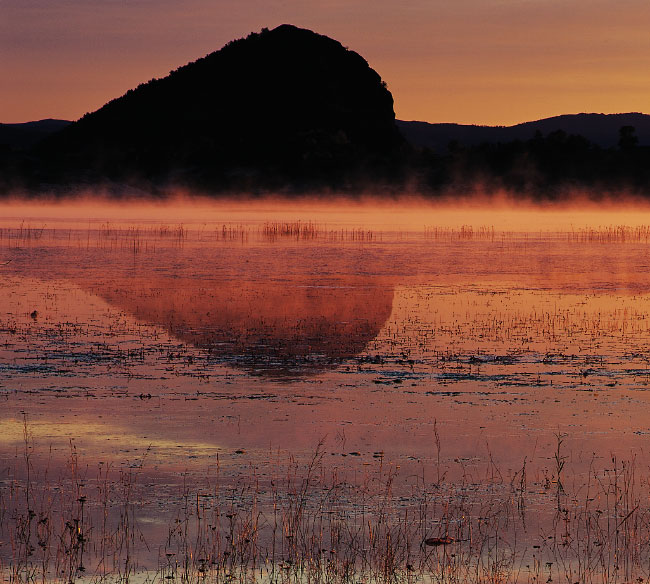 Morning Mist on the Lake