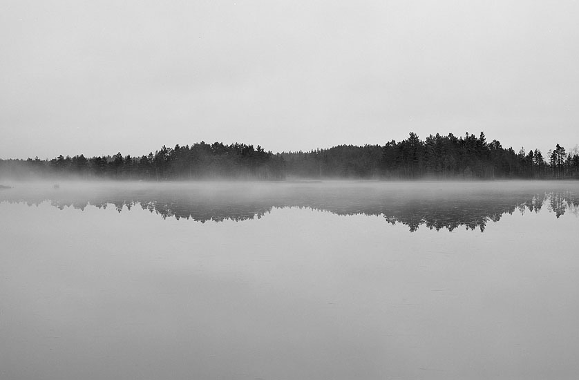 Morning mist