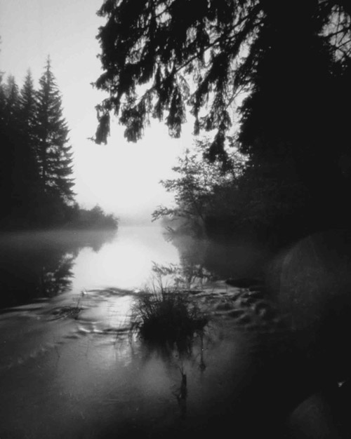 Morning Misty Moyie