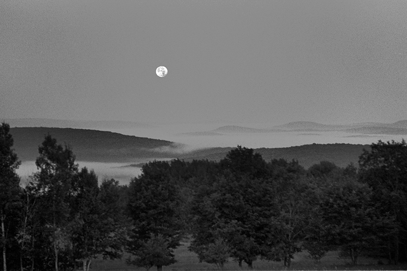 Morning Moon