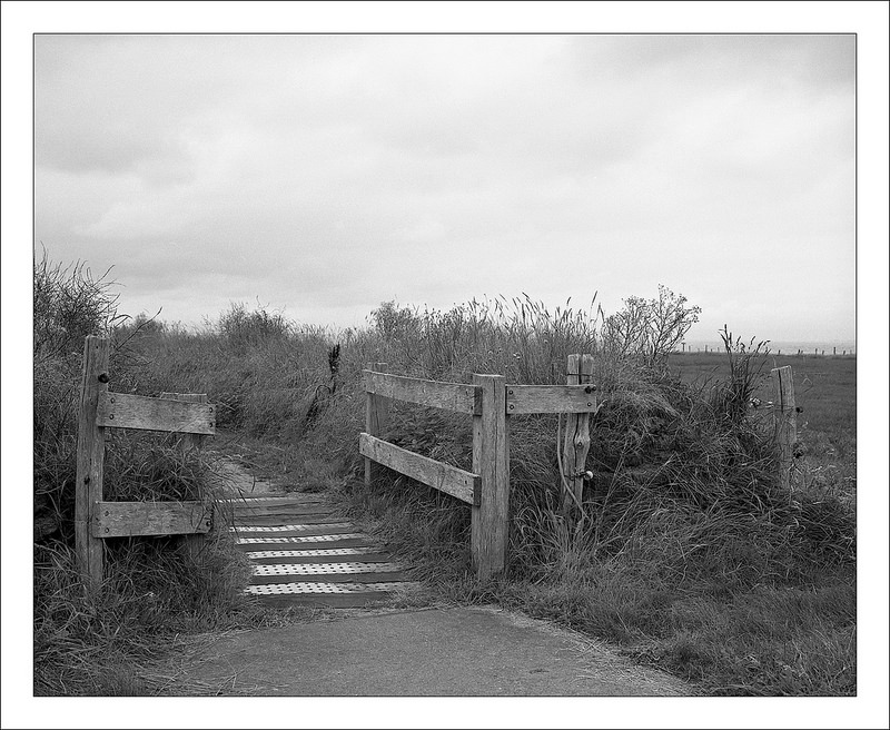 Morning on the path