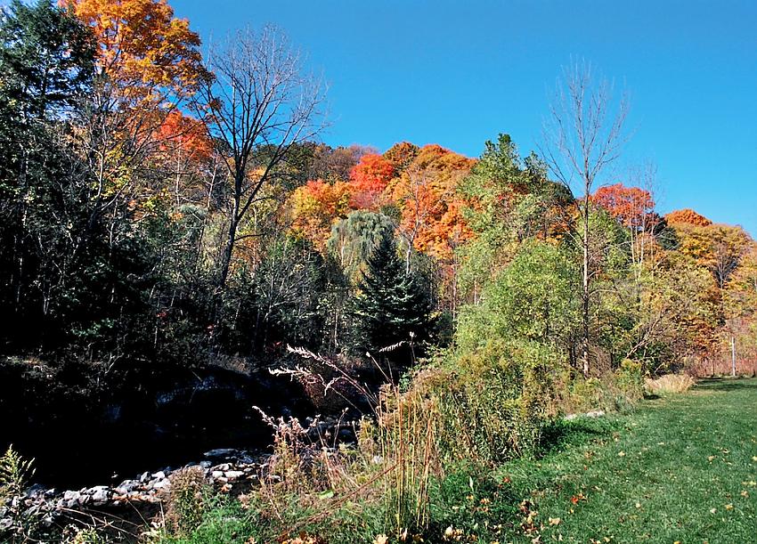 Morningside Park, Toronto