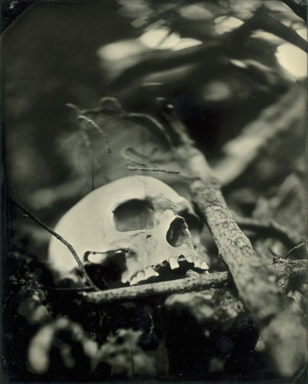 "Morte"