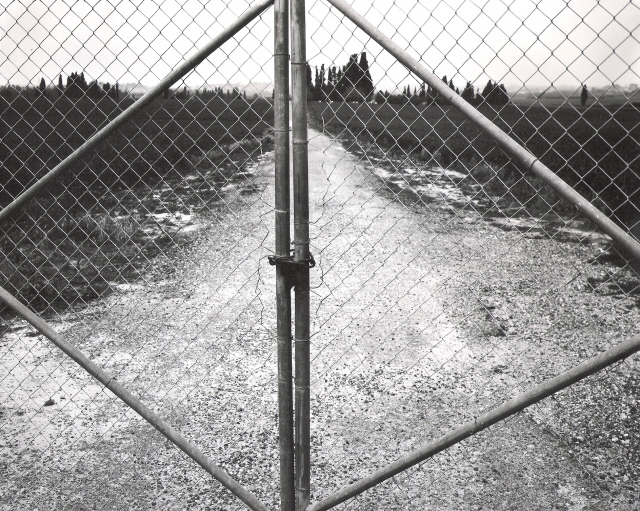 Moshav Fence, 2008