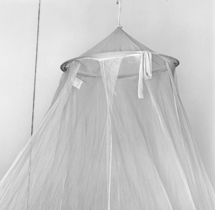 Mosquito Net Iii