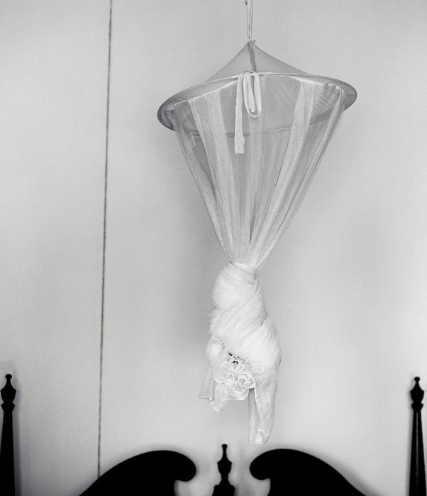 Mosquito Net