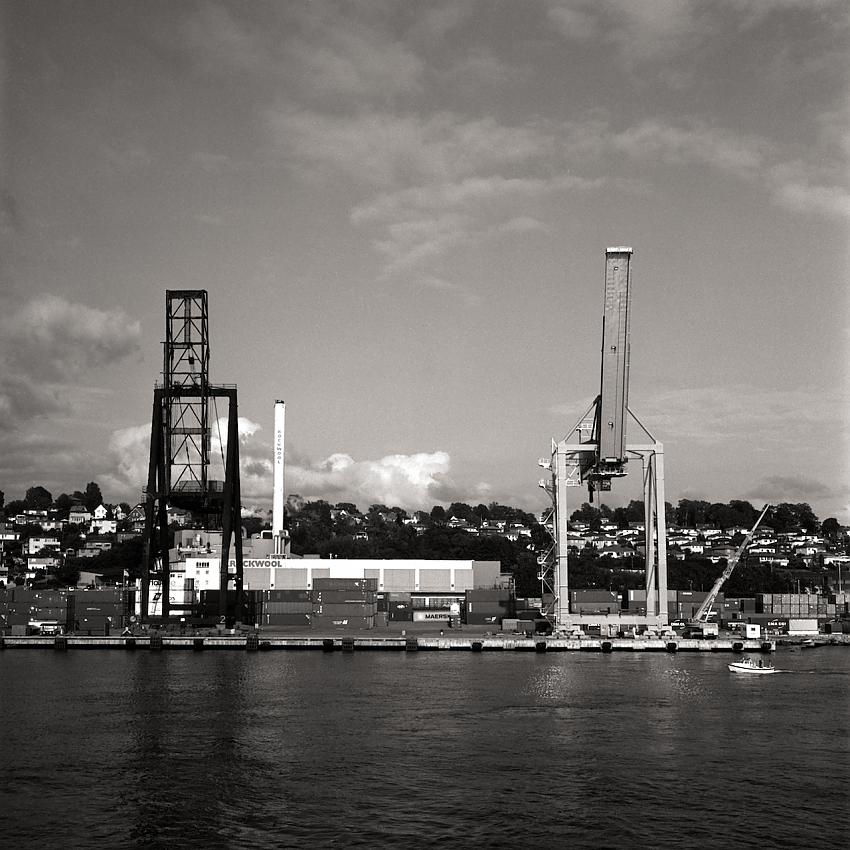 Moss Docks