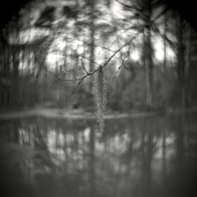 Moss, Northlake