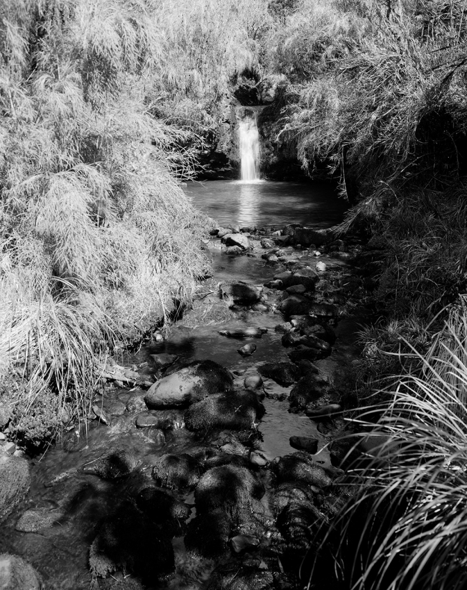 Mountain spring, Chingaza National Park