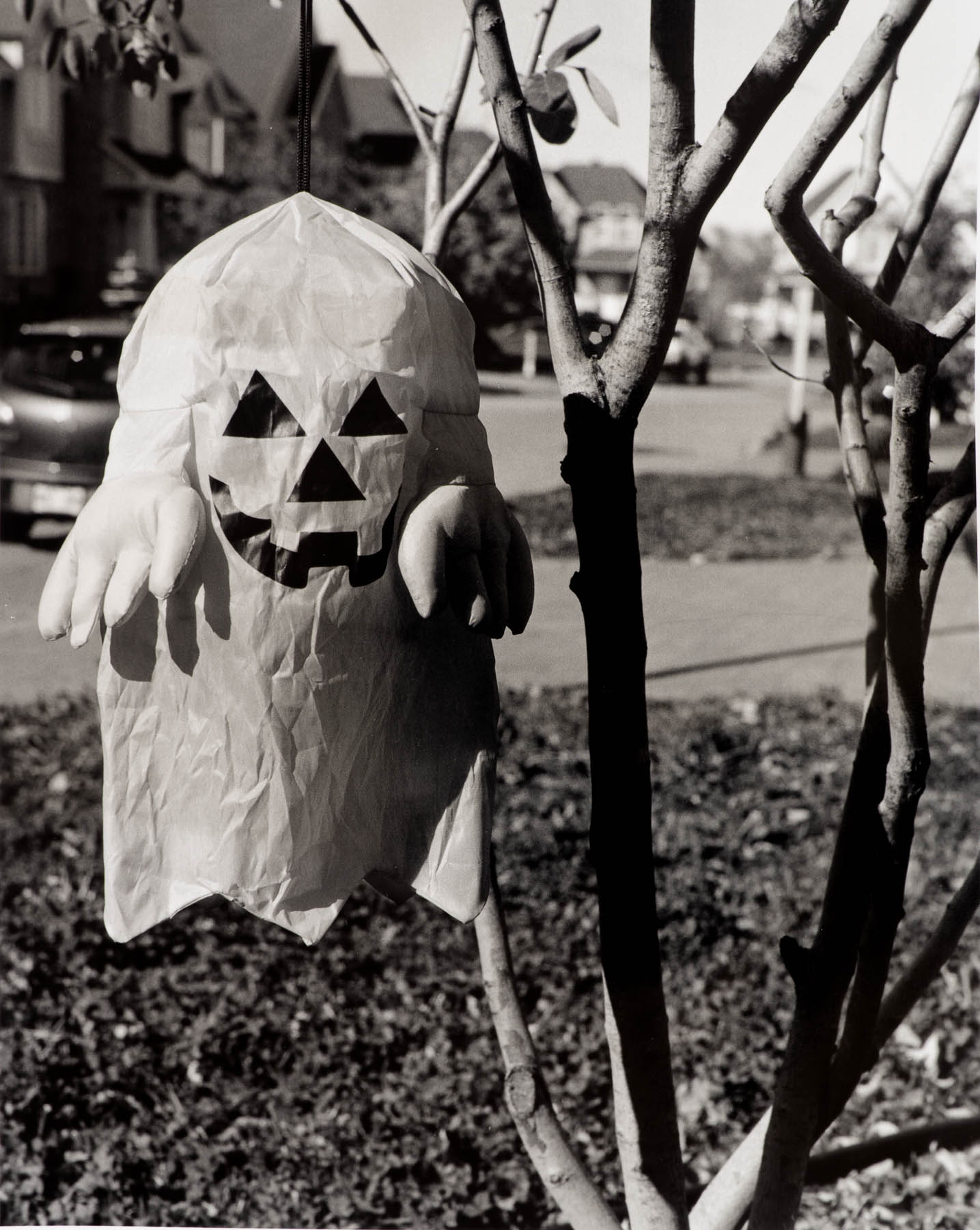 Mr. Pumpkin