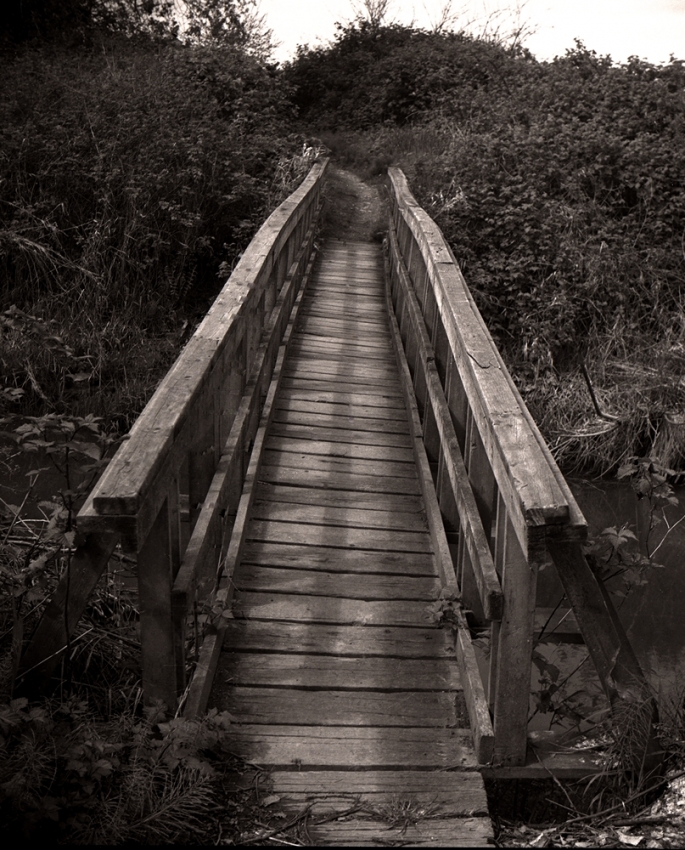 MSA - "Bridged"