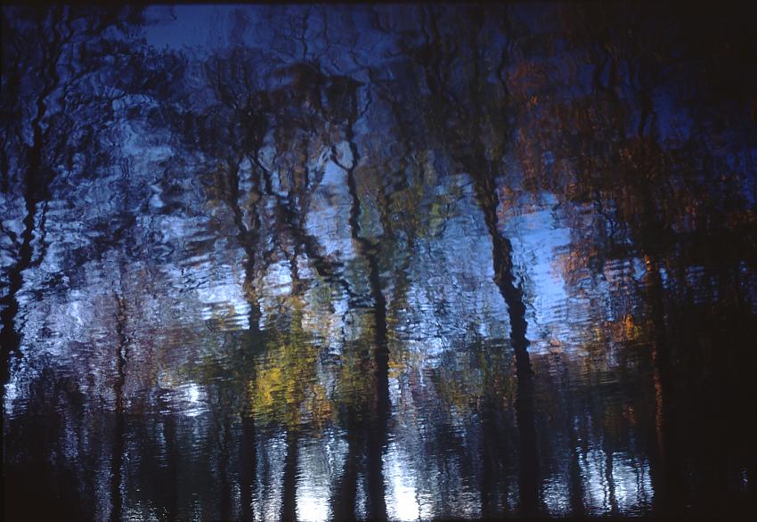 MSA Catch a light beam - Autumn Impressions
