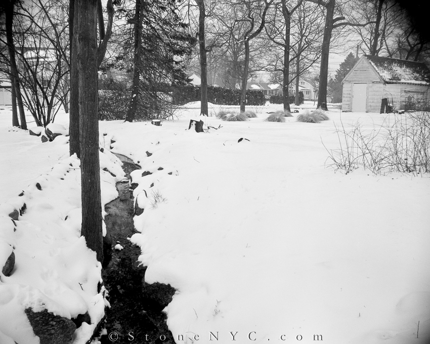 MSA cheap camera - "My Stream and my Neighbors Back Yard"