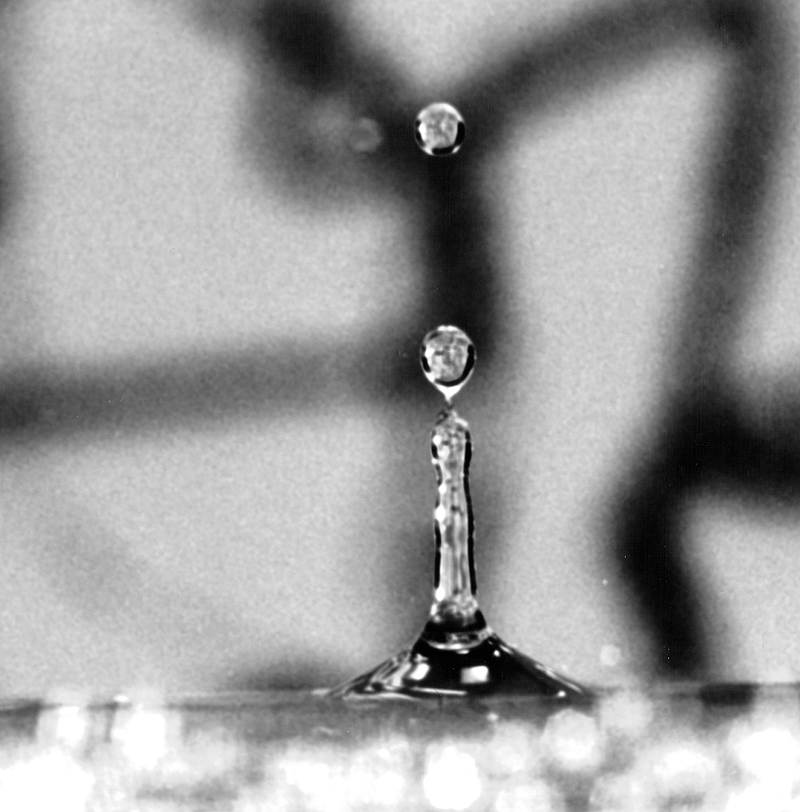 MSA H2O Isolated