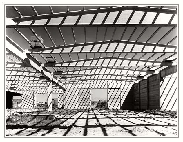 MSA: Light and shadow