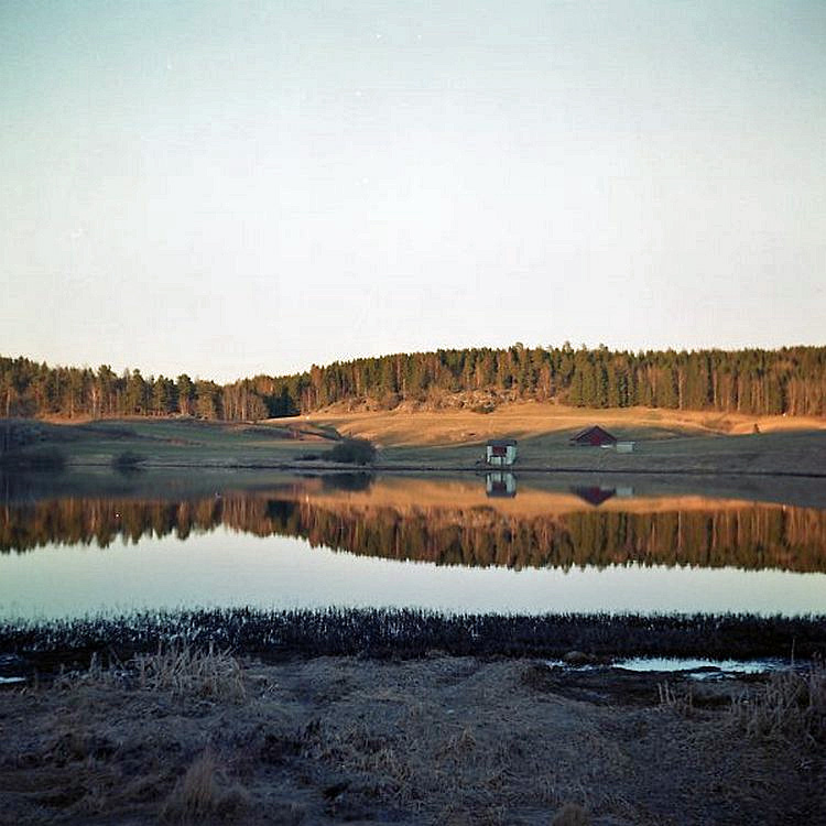 MSA Mirroring