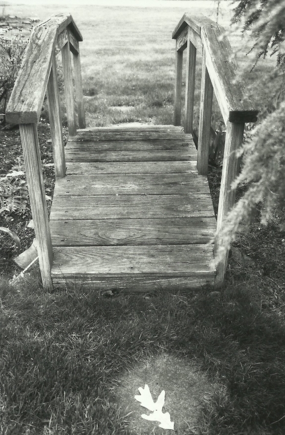 MSA Path over a bridge