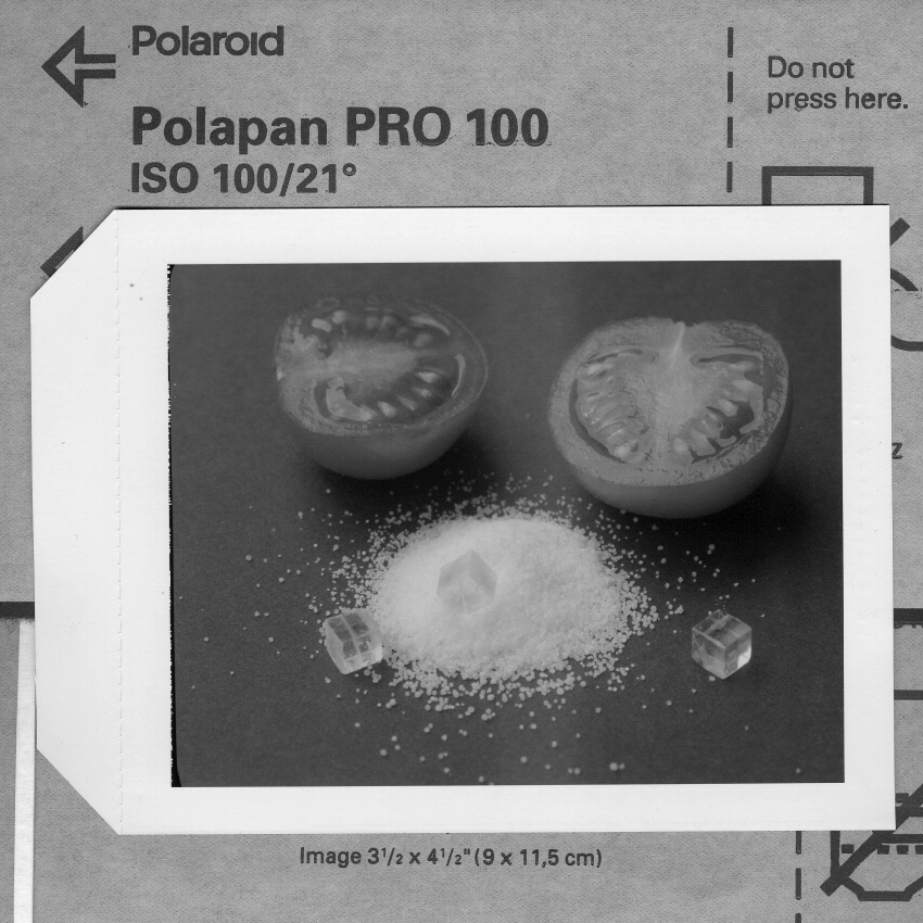 MSA Salt, Polaroid T-54 in 545i Holder