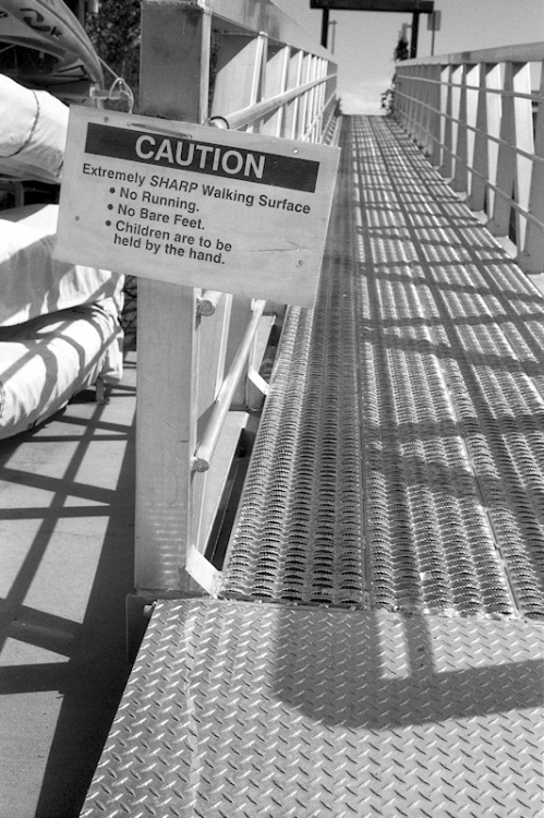 MSA Signage - Sharp!