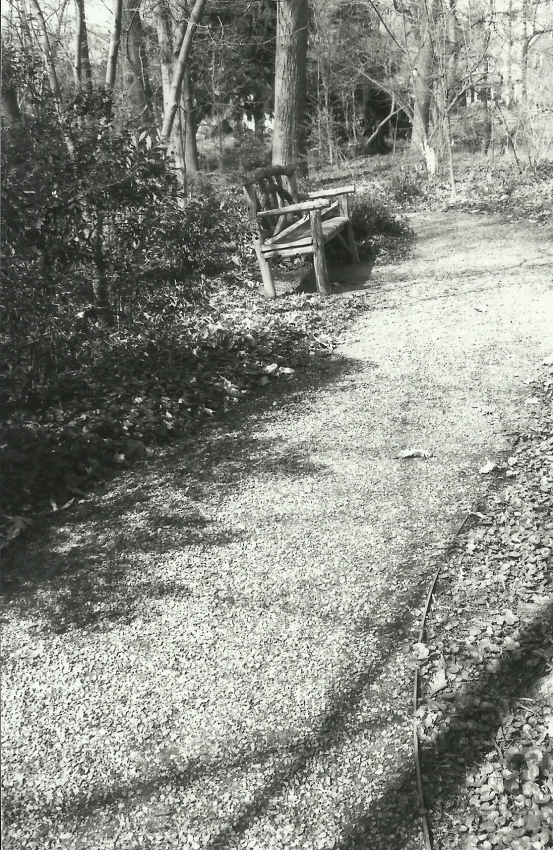 MSA Winding path