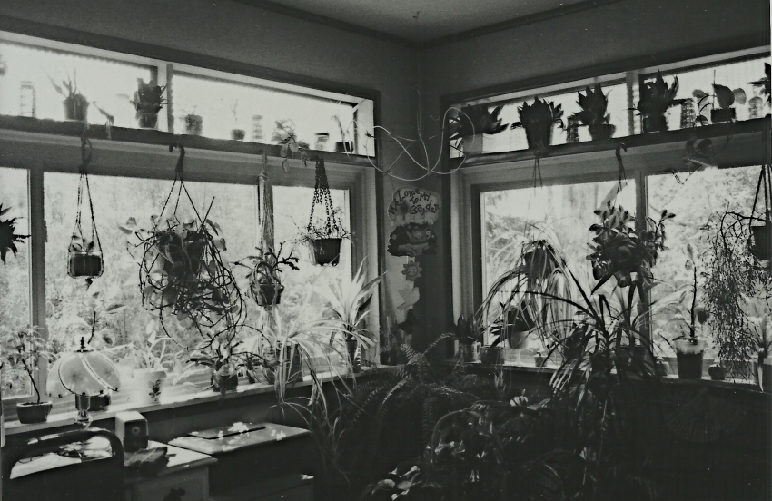 MSA- Your Own World: My  Sunroom