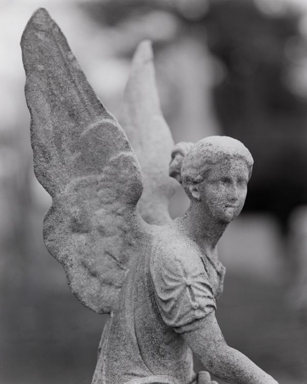 Mt. Auburn Cemetary