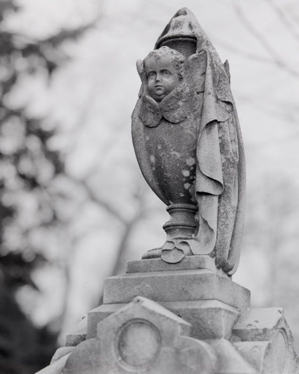 Mt. Auburn Cemetary