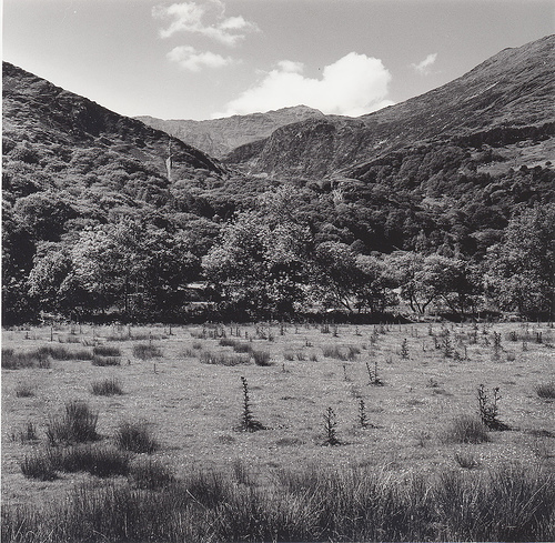 Mt Snowdon, Snowdonia - North Wales