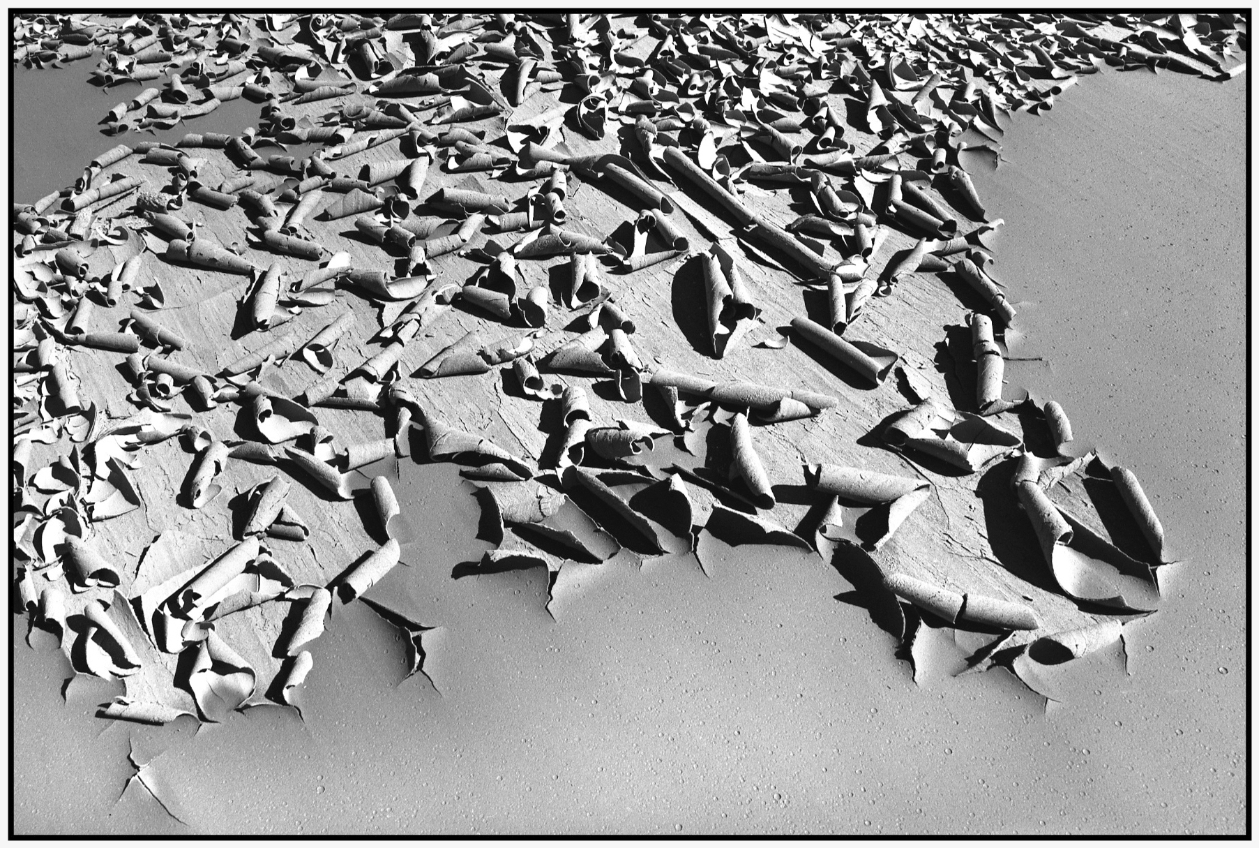 Mud#20c (Dried)