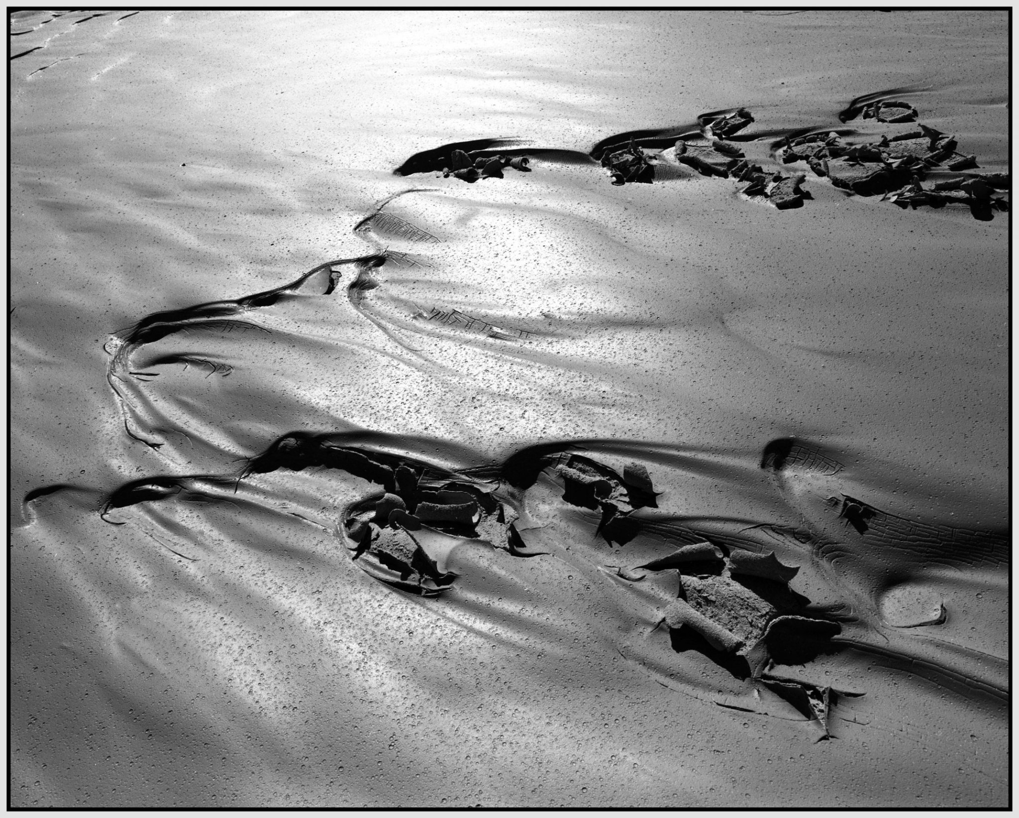 Mud#21