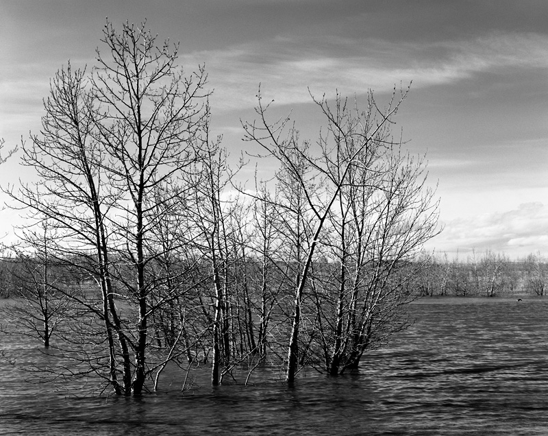 Mud waters