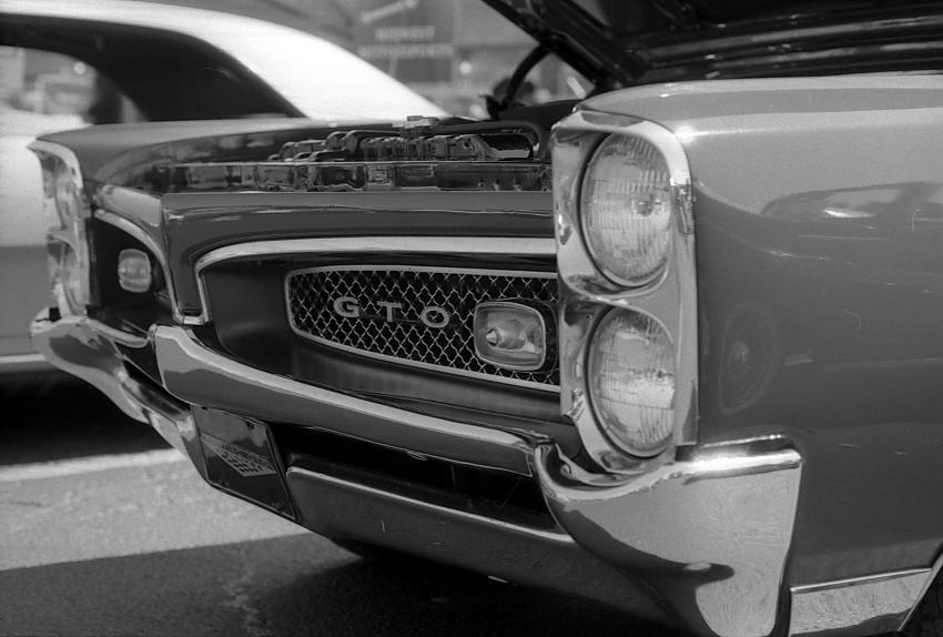 muscle..lots of muscle
