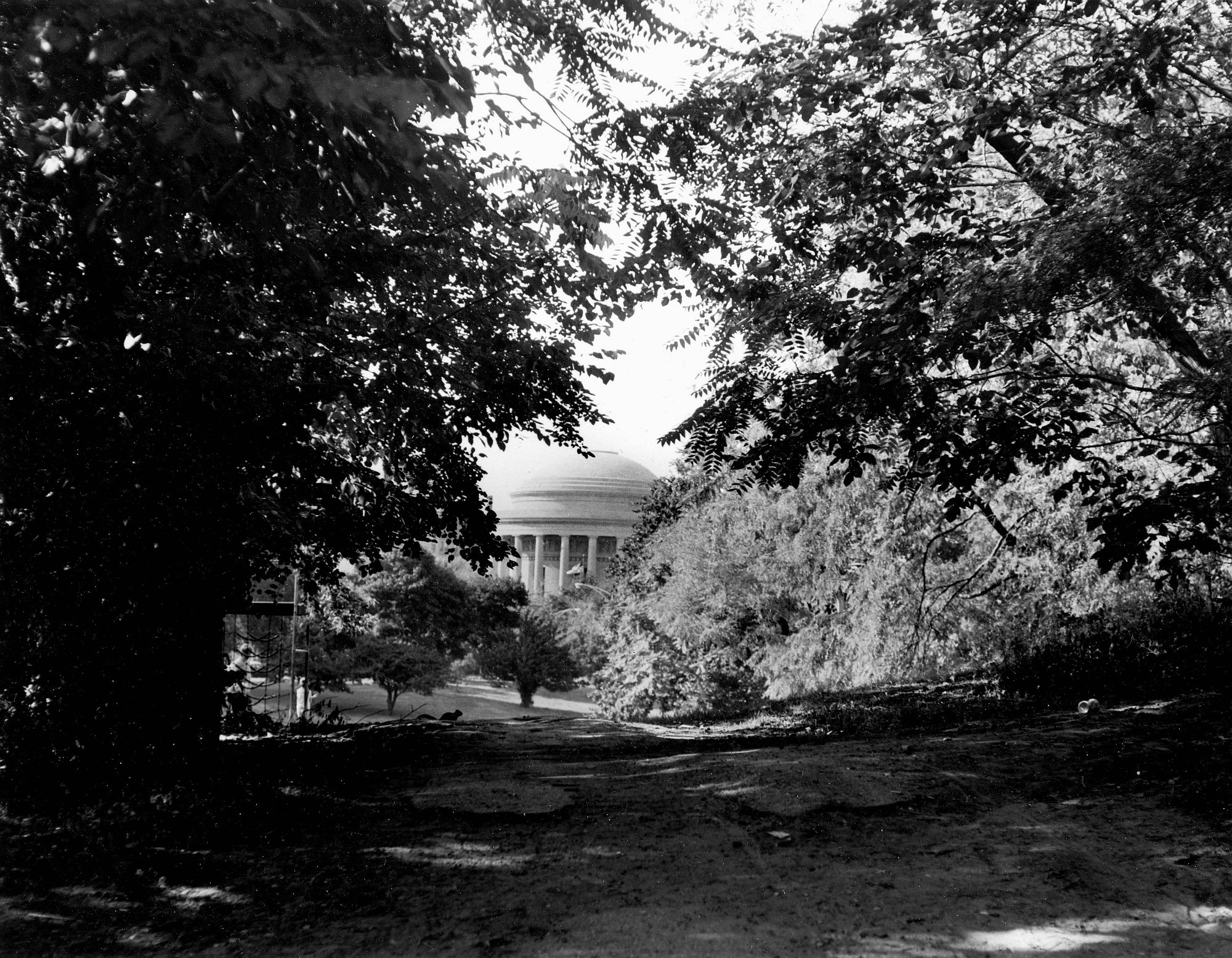 Museum Lincoln Park