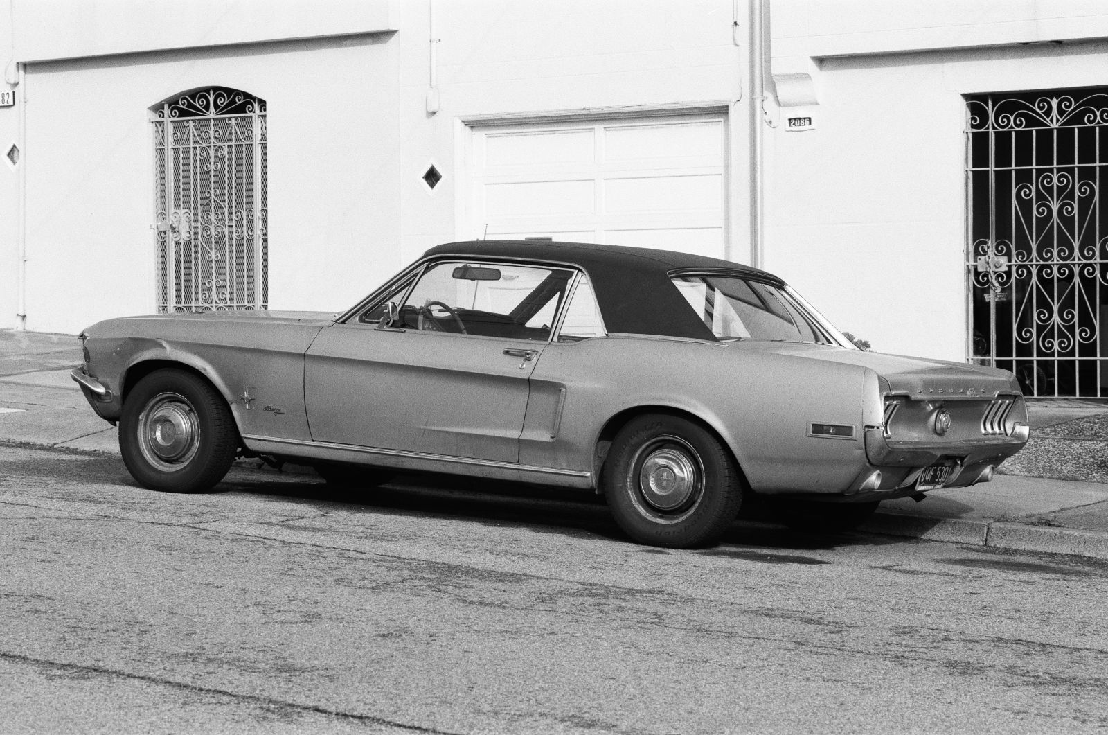 Mustang