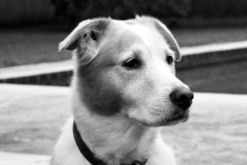 My best friend