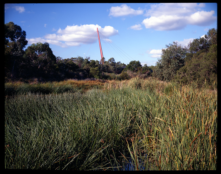 My first 4x5 colour slide!!