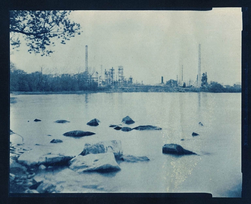 my first cyanotype