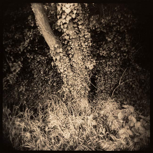 my first date with Holga 1/2