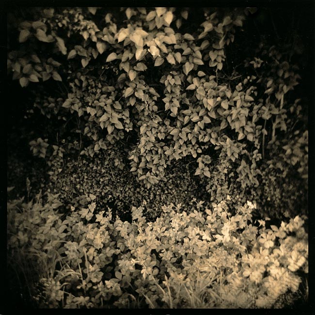 my first date with Holga 1/3