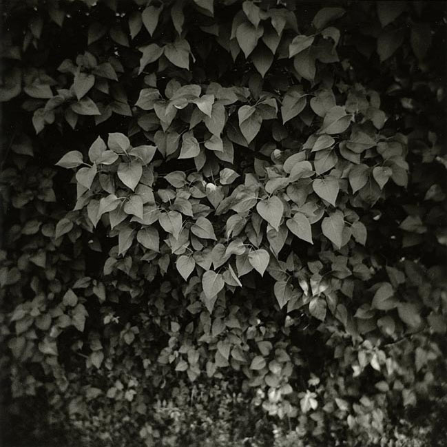 my first date with Holga 1/8