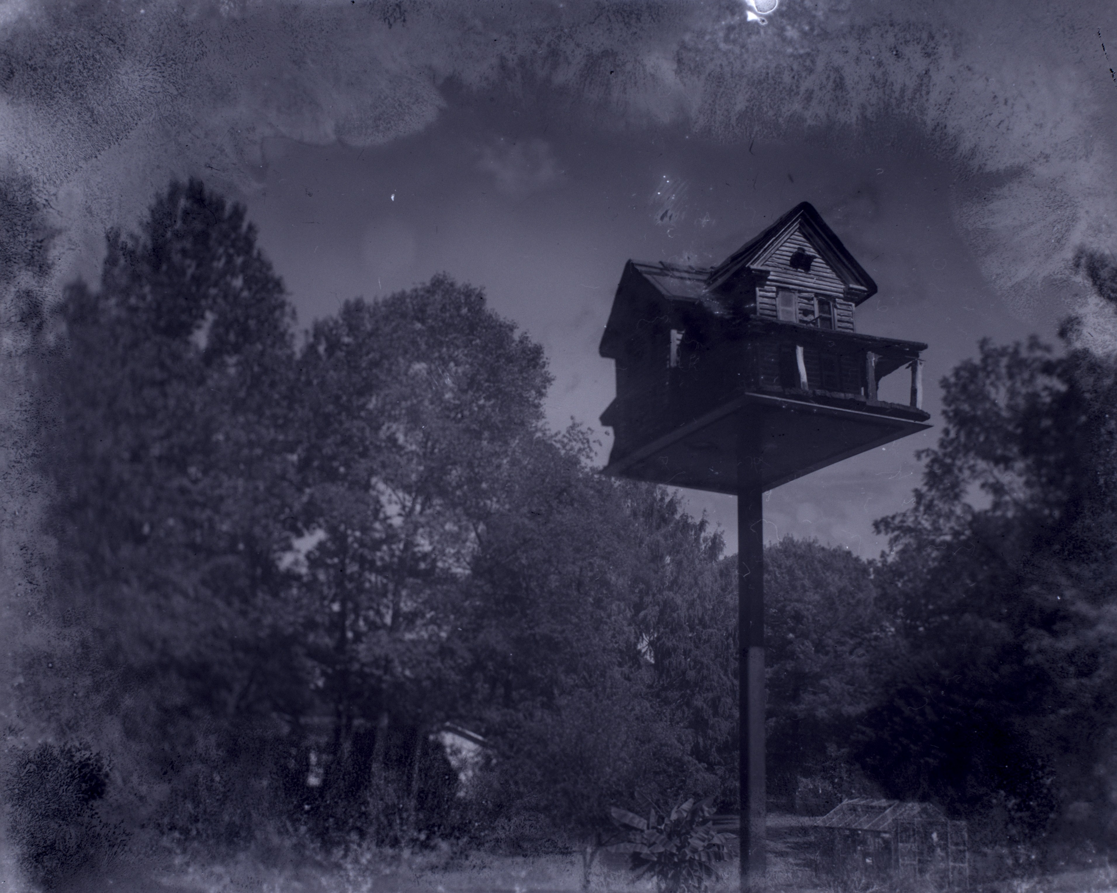 My First Film Photo