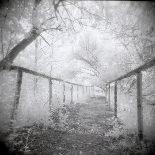 My First Holga/efke Aura Neg