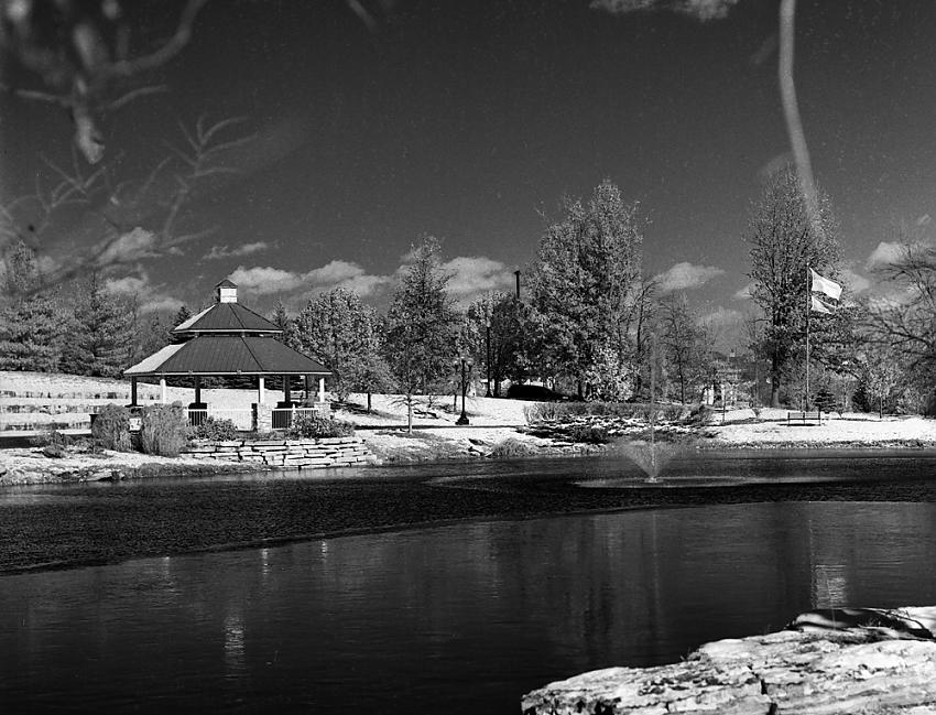 My first IR photo