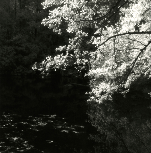 My first IR